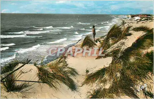 Moderne Karte Fort Mahon Somme Ilot Sud et les Dunes