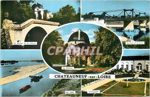 Cartes postales moderne Chateauneuf sur Loire