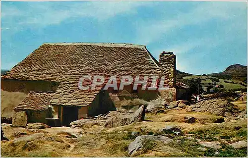 Cartes postales moderne Le Gerbier de Jonc Ferme de la Loire