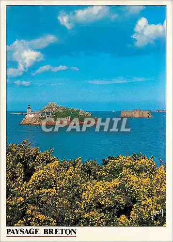 Cartes postales moderne Paysage Breton En baie de Morlaix l'ile Louet et le chateau du  Taureau