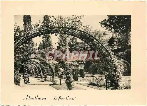 Cartes postales moderne Montlucon Le Parc Carmel