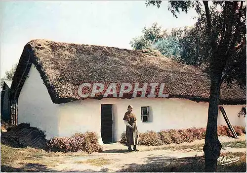 Cartes postales moderne Bocage Vendeen Une Ferme