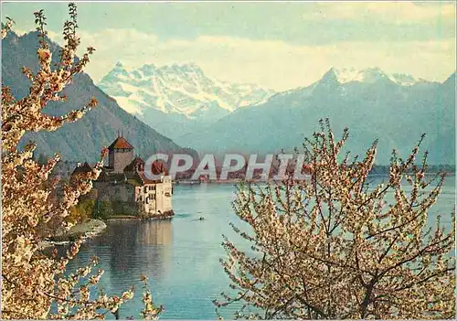 Cartes postales moderne Chateau de Chillon et les Dents du Midi