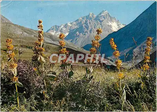 Moderne Karte En savoie Le Grand Galibier