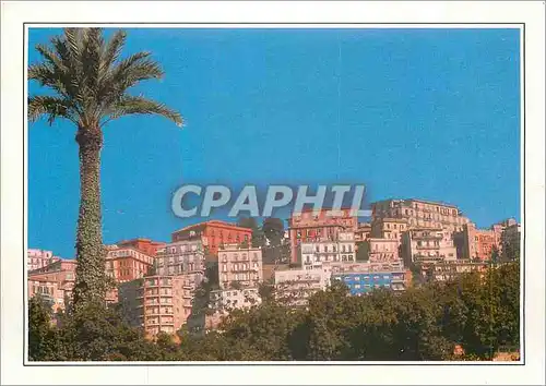 Cartes postales moderne Italia Naplea Le quartier residentiel