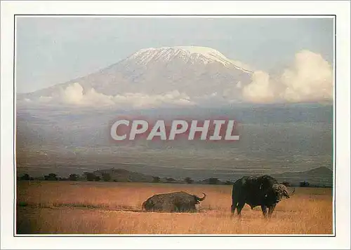 Moderne Karte Kenya Amboseli et le Kilimandjaro