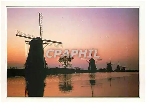 Cartes postales moderne Nederland Hollande Moulins