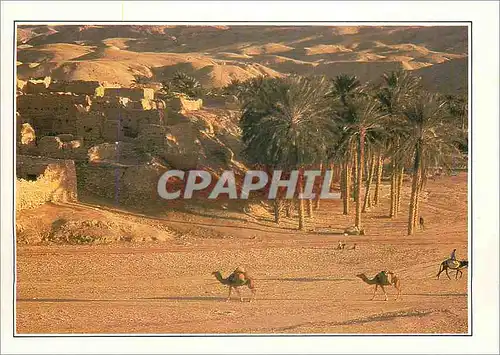 Cartes postales moderne Tunisie Tamerza