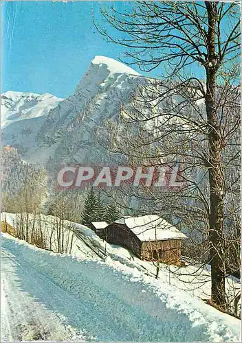 Cartes postales moderne Morzine Haute Savoie les Hauts Forts Ressachaux