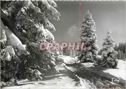 Cartes postales moderne Image de chez nous en hiver