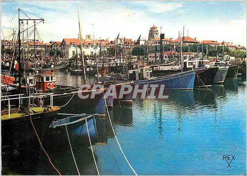 Cartes postales moderne St Jean de Luz Le Port