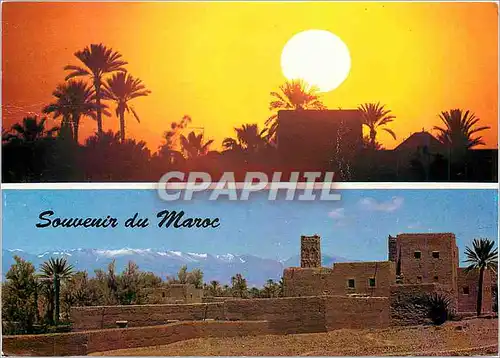 Cartes postales moderne Souvenir du Maroc