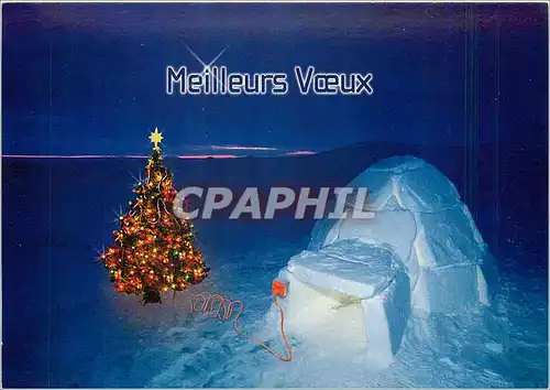 Cartes postales moderne Meilleurs Voeux Igloo