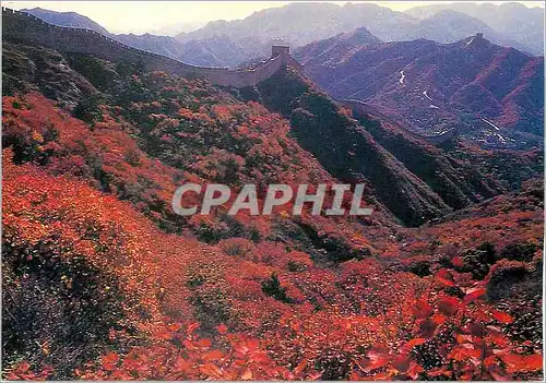 Cartes postales moderne Autumn Scene on the Great Wall Chine China
