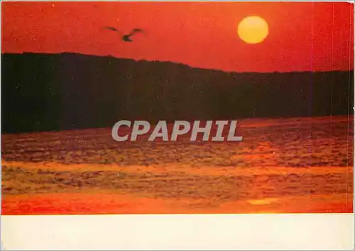 Cartes postales moderne Coucher de soleil