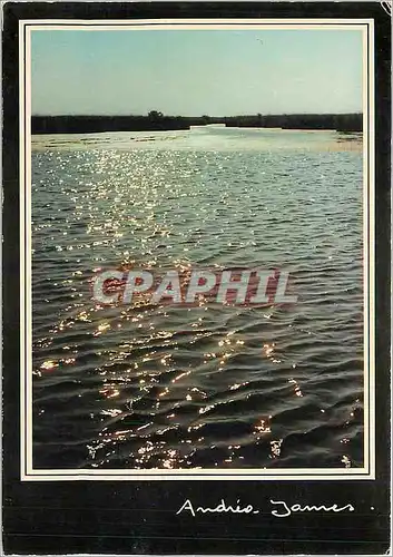 Cartes postales moderne Couleurs et Lumiere de France Bordes de mer vus par