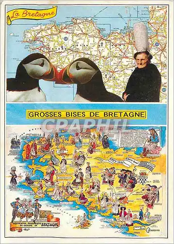 Cartes postales moderne La Bretagne Grosses Bises de Bretagne