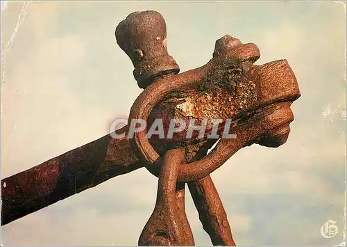 Cartes postales moderne En se promenant sur le Port