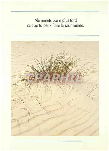 Cartes postales moderne Ne remet pas a plus tard ce que tu peux faire le jour meme