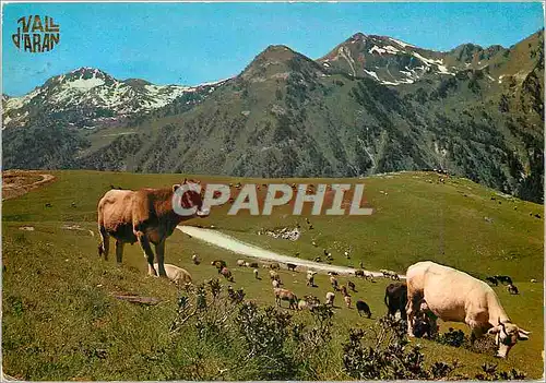 Cartes postales moderne Val d'Arran Plaine de Beret