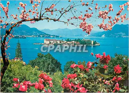 Cartes postales moderne Lac majeur Isola Bella