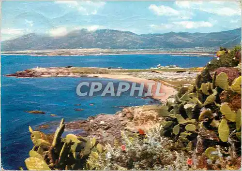 Cartes postales moderne Invito alla Sardegna Nora Panorama