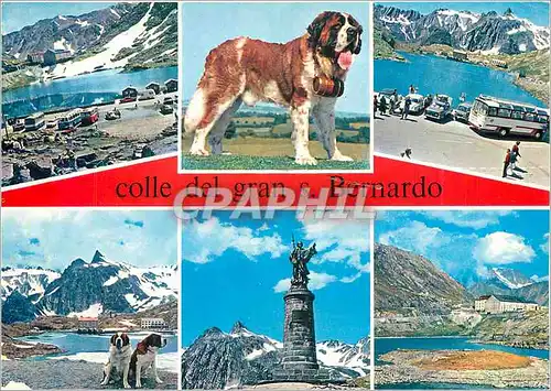 Cartes postales moderne Colle del Gran S Bernardo