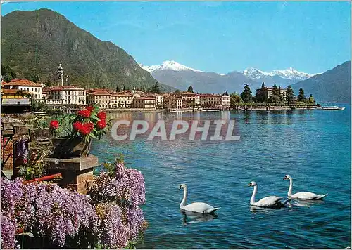 Cartes postales moderne Saluti dal Lago di Como