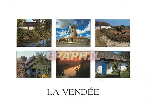 Cartes postales moderne Couleurs de Vendee Bourrines et moulins