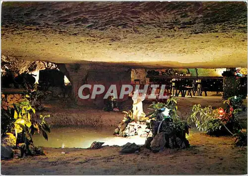 Cartes postales moderne Savonnieres Grottes Petrifiantes des Caves Gouttieres