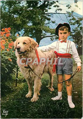 Moderne Karte Nos Belles Pyrenees Folklore Pyreneen L'Enfant au Chien