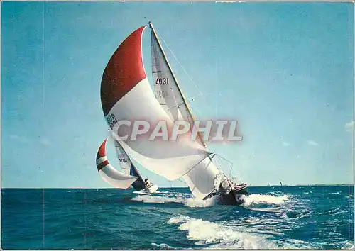 Cartes postales moderne Bateaux de Plaisance Voiliers Fervebt classe III en acier en regate