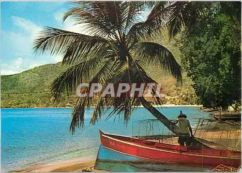 Cartes postales moderne Martinique Village de pecheurs