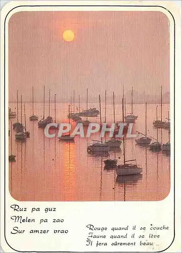 Cartes postales moderne Ruz pa guz Melen pa zao sir amzer vrao