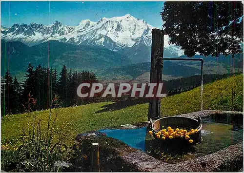 Cartes postales moderne Au Pays du Mont Blanc Panorama sur le massif depuis Cordon