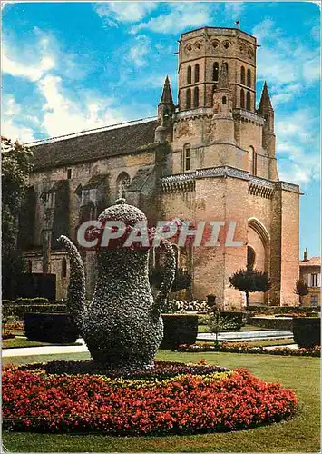 Cartes postales moderne Lavaur La Cathedrale St Alain Detail du jardin Bressolles