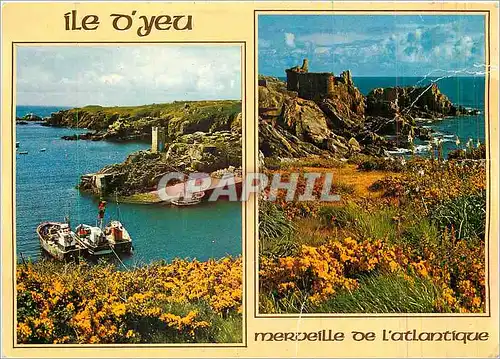 Cartes postales moderne Merveille de l'Atlantique Ile d'Yeu Le port de la Moule et le vieux chateau