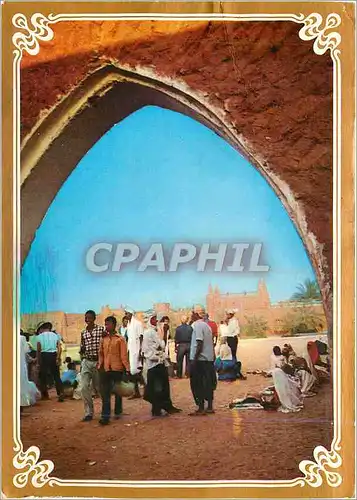 Cartes postales moderne Algerie Le Marche