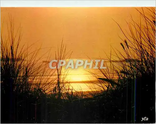 Cartes postales moderne La Bretagne Pittoresque Dernier reflet du soleil