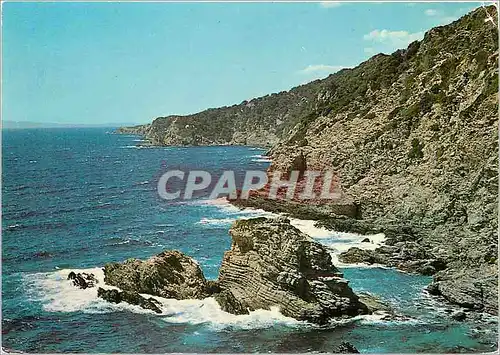 Cartes postales moderne Ile de Porquerolles Var Cirques et Rochers sauvages