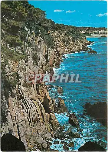 Cartes postales moderne Beaute Sauvage de la Cote d'Azur Sanary La Cride Au fond Port Issol