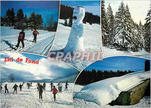 Cartes postales moderne Ski de fond