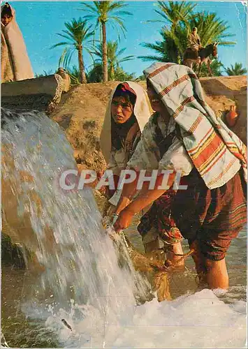 Cartes postales moderne Sud Tunisien Bedouines a la source
