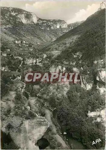 Cartes postales moderne En Parcourant Les Gorges du Tarn Panorama des Terrases dans la Vallee de la Jonte au fond Le Tru