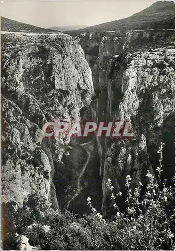 Cartes postales moderne Haute Provence Gorges du Verdon Le Grand Canon Vue du helvedere du Mangue pres dh Chalet TCF