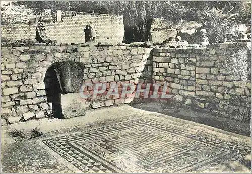 Cartes postales moderne Vaison la Romaine Vaucluse La Ville Romaine Maison du Buste en Argent Mosaique d'appartement