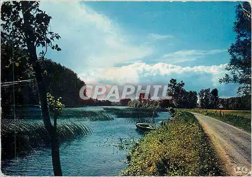 Cartes postales moderne Auxerre Yonne Les environs d'Auxerre