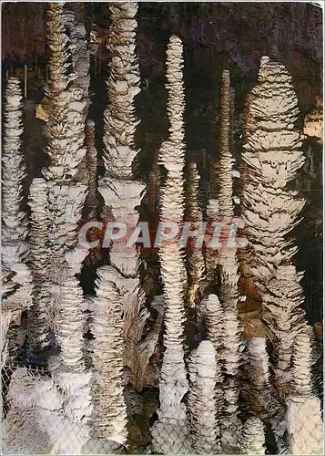 Cartes postales moderne L'Aven Armand Le Palmier et groupe de stalagmites