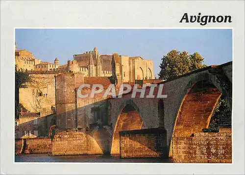Cartes postales moderne Avignon Vaucluse Le pont et le palais