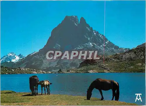 Cartes postales moderne Les Pyrenees Pic du Midi d'Ossau Le Lac d'Ayous